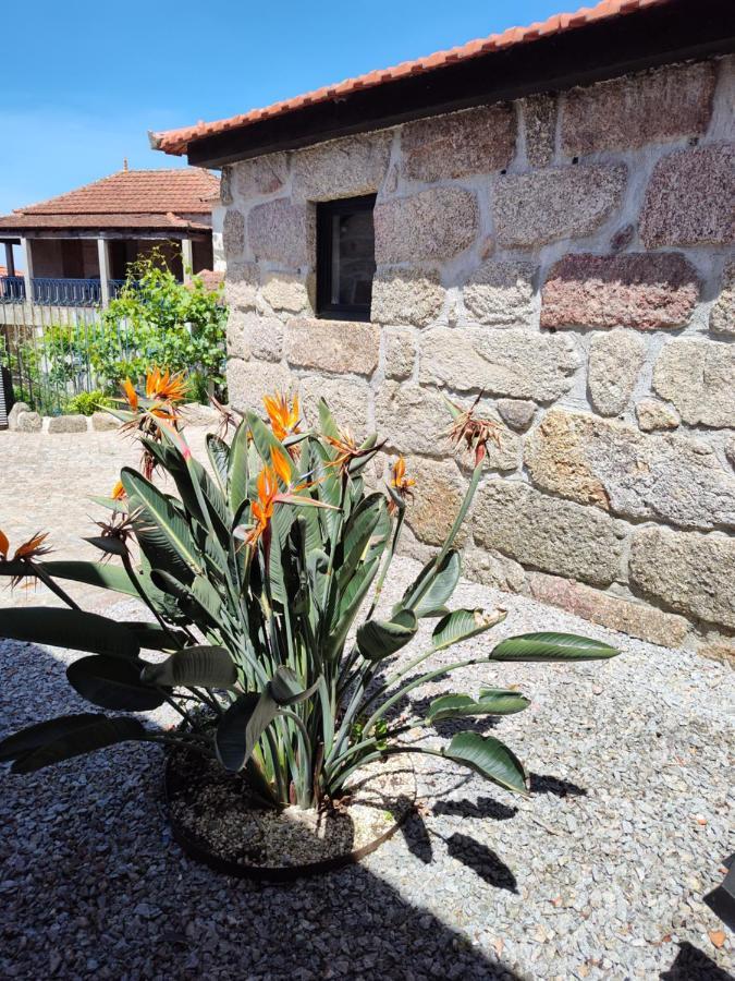 הוילה אמרנטה Casas Do Arrabalde מראה חיצוני תמונה